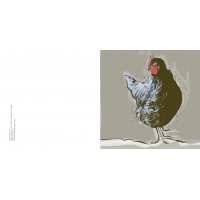 black_chicken_ipad