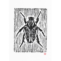 buglino_1739835387