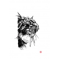 cat1