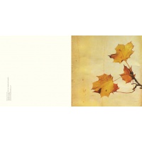 g_autumn