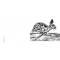 hare1