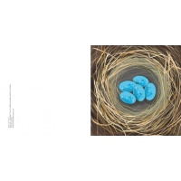nest_blue