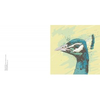 peacockjpg