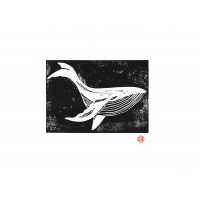 whale2lino