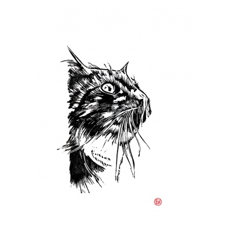 cat1
