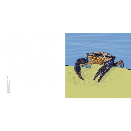 crabipad_1478787527
