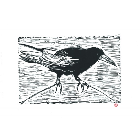crow1