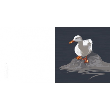 duckipad