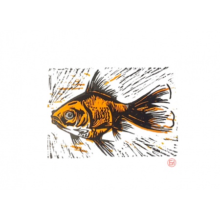 goldfish_1