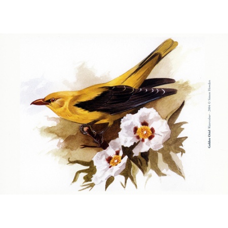 gorielpcards5_1466937279