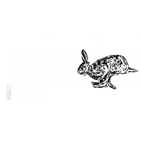 hare2