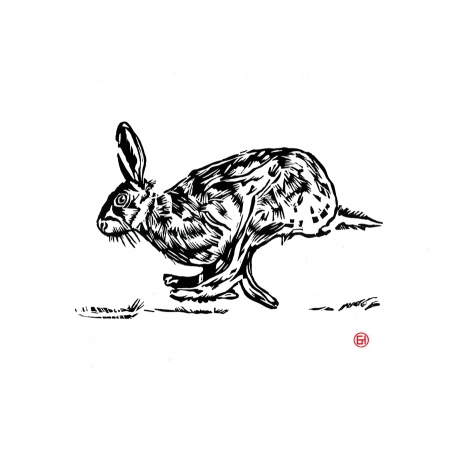 hare2_1692304291