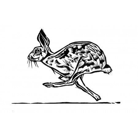 hare_mug