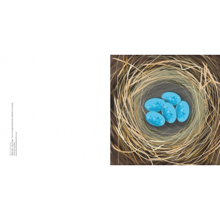 nest_blue