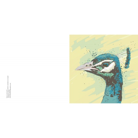 peacockjpg