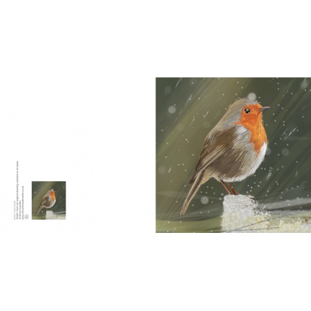robin_ipad2