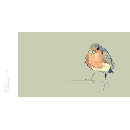 sah_card_robin