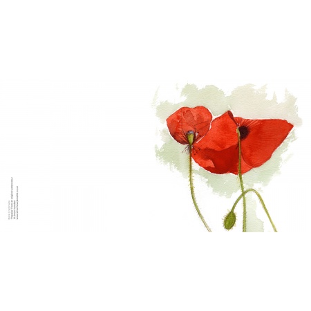 sah_poppies
