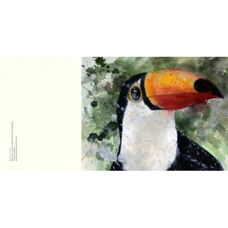 sah_toucan2