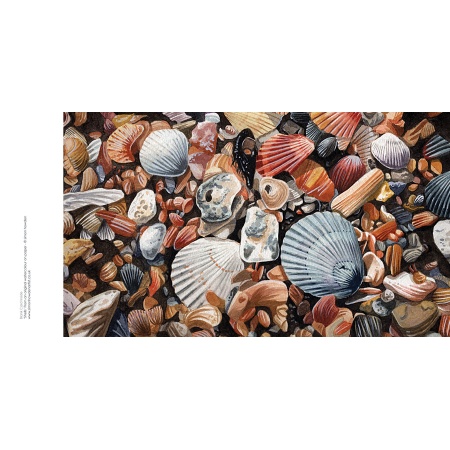 shellscards8a
