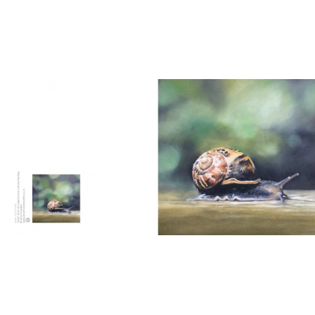 snail
