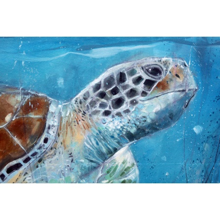 turtle_2