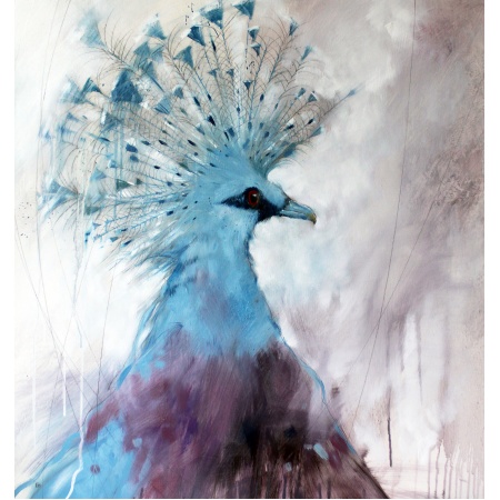 v_pigeon