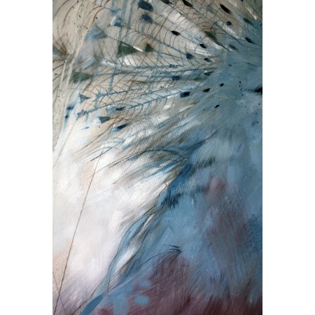 v_pigeon_2